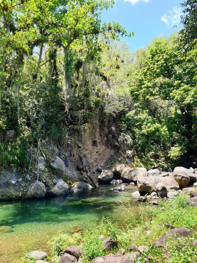 Gite 4 Etoiles, La Vieille Sucrerie St Claude Guadeloupe, Jacuzzi Spa Privatif, Vue Exceptionnelle Sur La Mer Des Caraibes Basse-Terre Kültér fotó