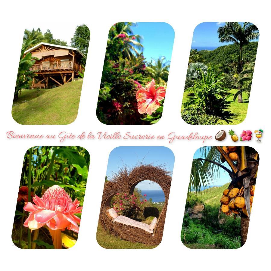 Gite 4 Etoiles, La Vieille Sucrerie St Claude Guadeloupe, Jacuzzi Spa Privatif, Vue Exceptionnelle Sur La Mer Des Caraibes Basse-Terre Kültér fotó