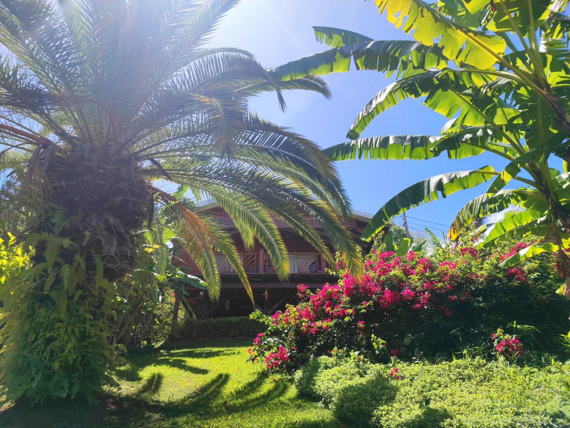 Gite 4 Etoiles, La Vieille Sucrerie St Claude Guadeloupe, Jacuzzi Spa Privatif, Vue Exceptionnelle Sur La Mer Des Caraibes Basse-Terre Kültér fotó