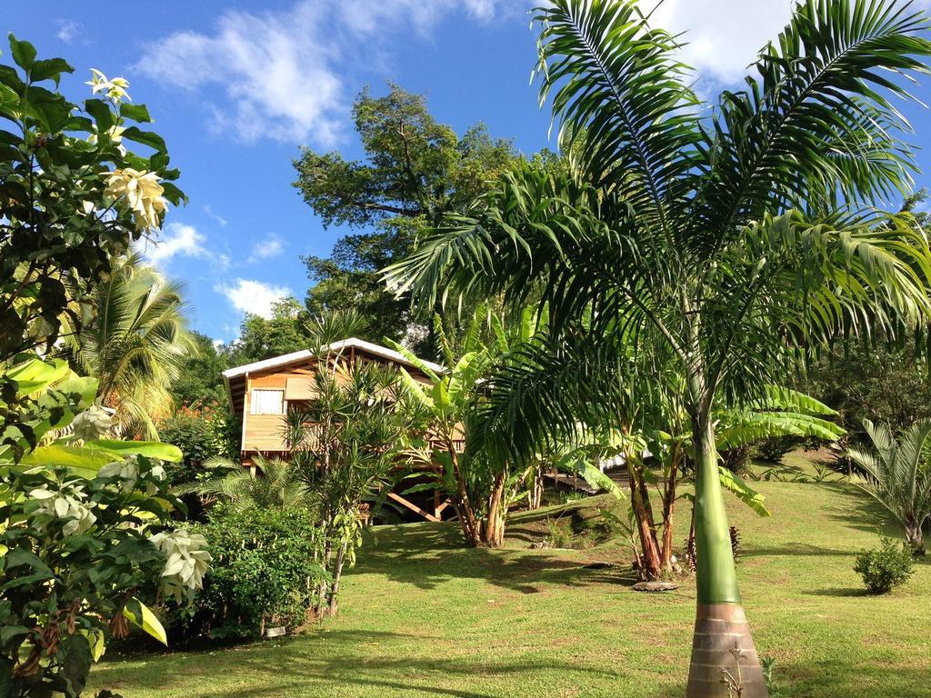 Gite 4 Etoiles, La Vieille Sucrerie St Claude Guadeloupe, Jacuzzi Spa Privatif, Vue Exceptionnelle Sur La Mer Des Caraibes Basse-Terre Kültér fotó